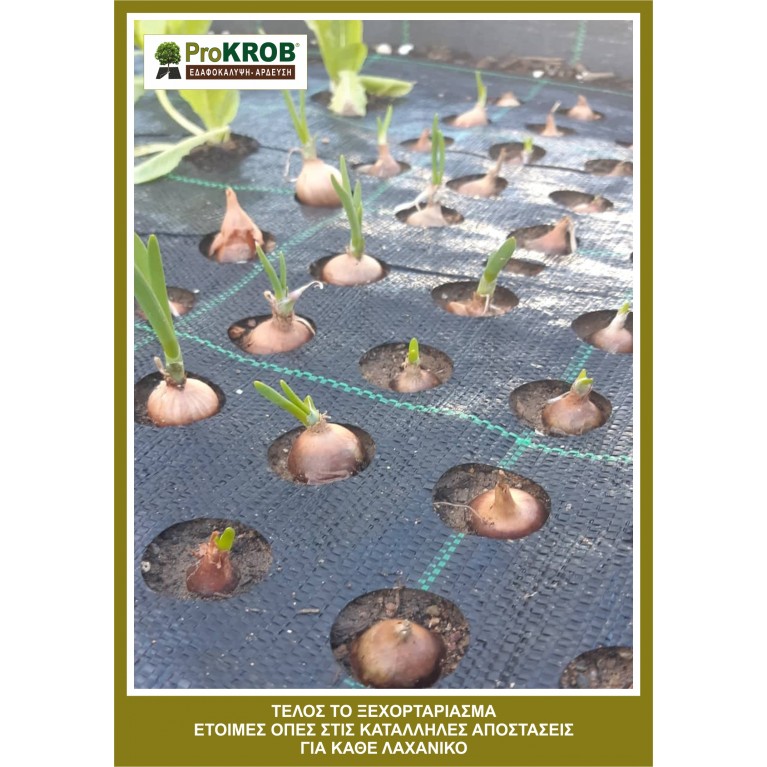 ΚΡΕΜMΥΔΙ ΧΛΩΡΟ ( ΦΡΕΣΚΟ ) ΥΦΑΣΜΑ ΕΔΑΦΟΚΑΛΥΨΗΣ PROKROB 