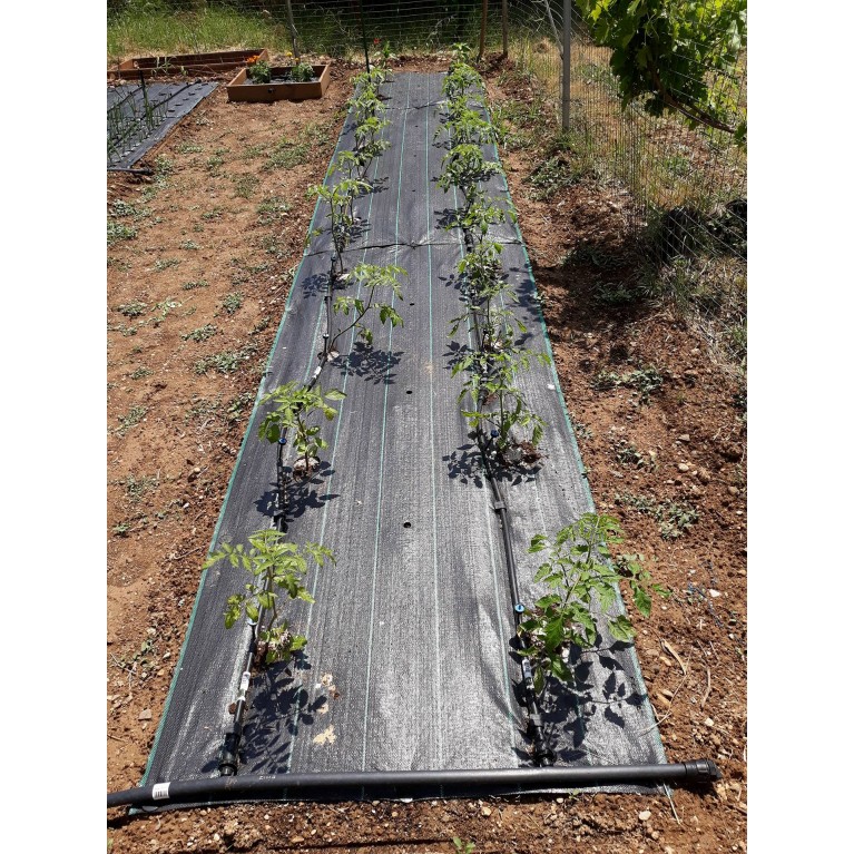 ΑΓΓΟΥΡΙ - ΤΟΜΑΤΑ - ΜΕΛΙΤΖΑΝΑ  /  ΥΦΑΣΜΑ ΕΔΑΦΟΚΑΛΥΨΗΣ PROKROB