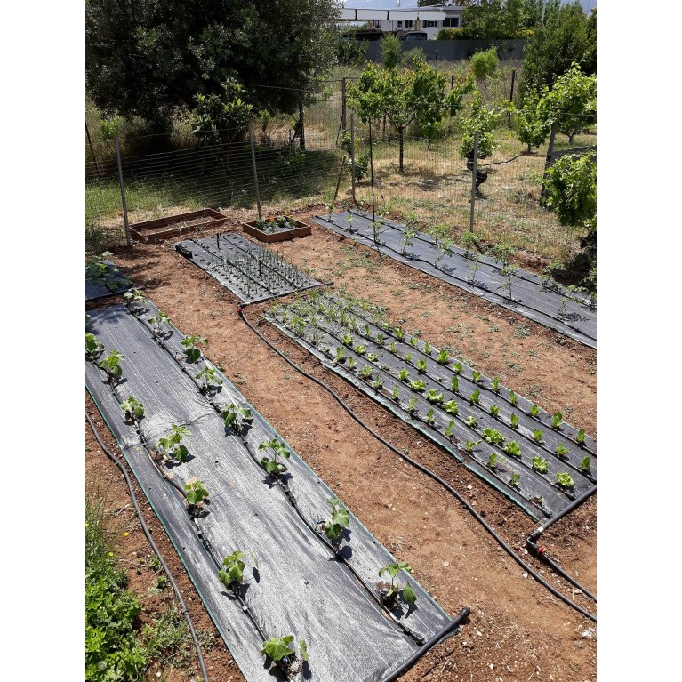 ΑΓΓΟΥΡΙ - ΤΟΜΑΤΑ - ΜΕΛΙΤΖΑΝΑ  /  ΥΦΑΣΜΑ ΕΔΑΦΟΚΑΛΥΨΗΣ PROKROB