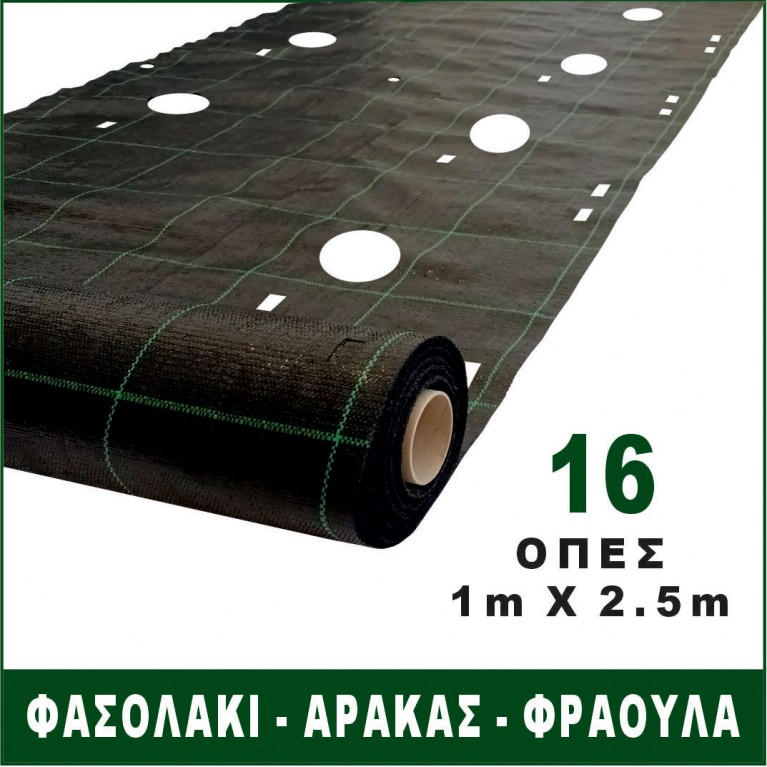 100cm x 245cm | 16 οπές για φασόλια αναρριχώμενα, φασόλια χαμηλά, αρακάς, φράουλα (ύφασμα εδαφοκάλυψης κωδ. 90307)