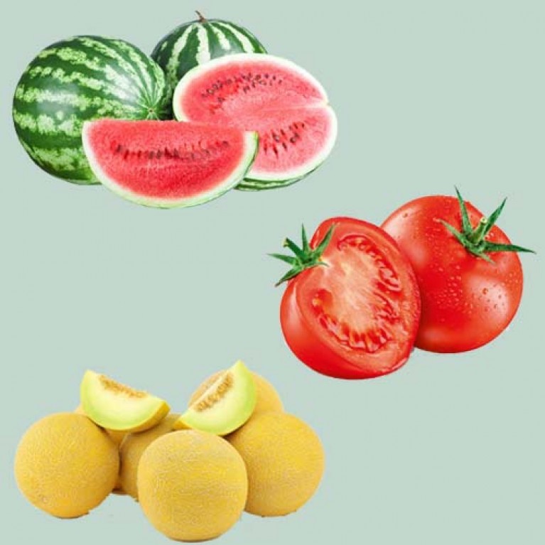 Ύφασμα εδαφοκάλυψης 1m x 4,90m | Ιδανικό για ντομάτα αναρριχώμενη - καρπούζι - πεπόνι / 8 ΟΠΕΣ-90359