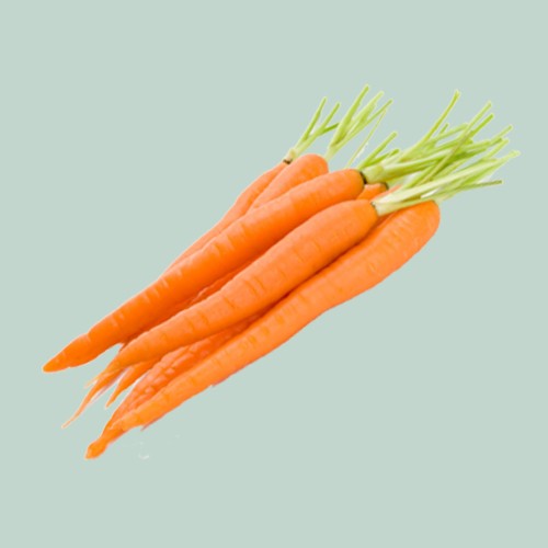 ΥΦΑΣΜΑ ΕΔΑΦΟΚΑΛΥΨΗΣ 25m  ΙΔΑΝΙΚΟ ΓΙΑ ΚΑΡΟΤΟ (κωδ.90456)