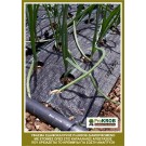 ΚΡΕΜMΥΔΙ ΧΛΩΡΟ ( ΦΡΕΣΚΟ ) ΥΦΑΣΜΑ ΕΔΑΦΟΚΑΛΥΨΗΣ PROKROB 