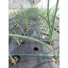 ΚΡΕΜΜΥΔΙ ΞΕΡΟ & ΣΚΟΡΔΟ ΥΦΑΣΜΑ ΕΔΑΦΟΚΑΛΥΨΗΣ PROKROB