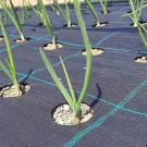 ΚΡΕΜΜΥΔΙ ΞΕΡΟ & ΣΚΟΡΔΟ ΥΦΑΣΜΑ ΕΔΑΦΟΚΑΛΥΨΗΣ PROKROB