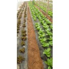 ΜΑΡΟΥΛΙ - ΑΝΤΙΔΙ - ΣΤΑΜΝΑΓΚΑΘΙ  /  ΥΦΑΣΜΑ ΕΔΑΦΟΚΑΛΥΨΗΣ PROKROB