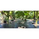 ΑΓΓΟΥΡΙ - ΤΟΜΑΤΑ - ΜΕΛΙΤΖΑΝΑ  /  ΥΦΑΣΜΑ ΕΔΑΦΟΚΑΛΥΨΗΣ PROKROB