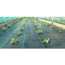 ΠΑΤΖΑΡΙ - ΠΡΑΣΟ - ΣΕΛΙΝΟ - ΣΠΑΝΑΚΙ  /  ΥΦΑΣΜΑ ΕΔΑΦΟΚΑΛΥΨΗΣ PROKROB